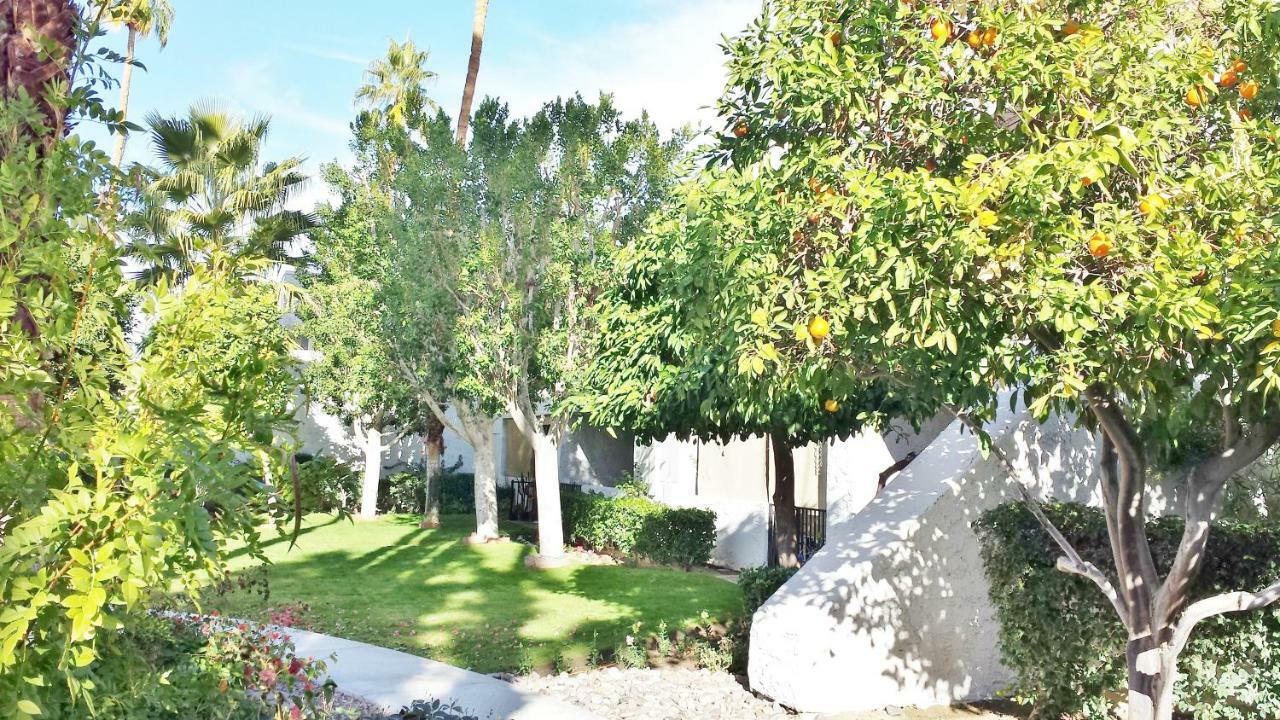بالم سبرينغس Palm Canyon Villas المظهر الخارجي الصورة