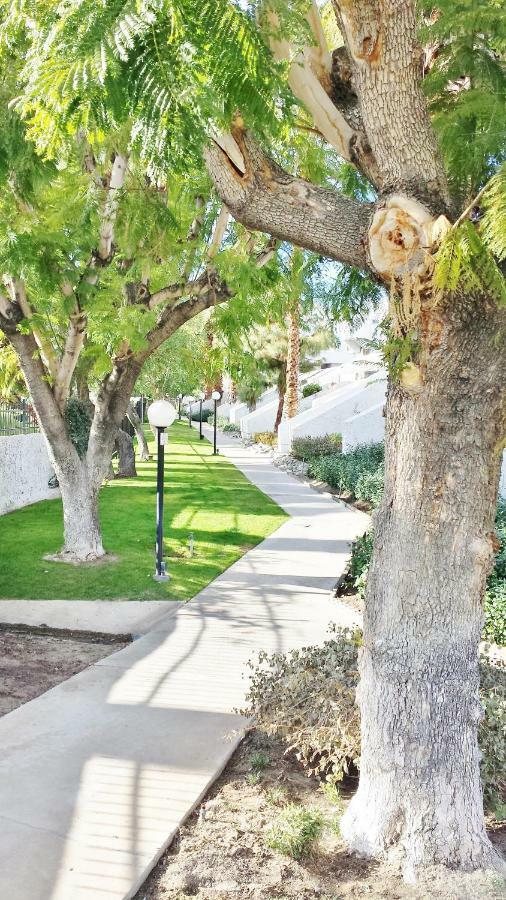 بالم سبرينغس Palm Canyon Villas المظهر الخارجي الصورة